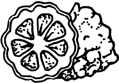Bergamot