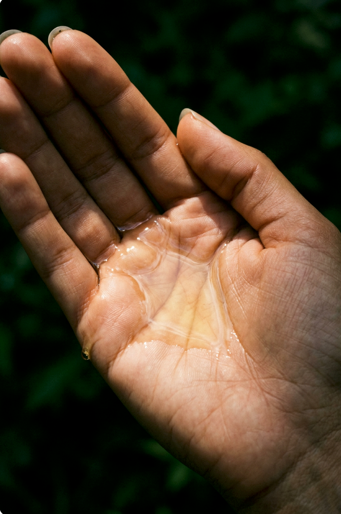Open palm holding a few drops of golden face oil