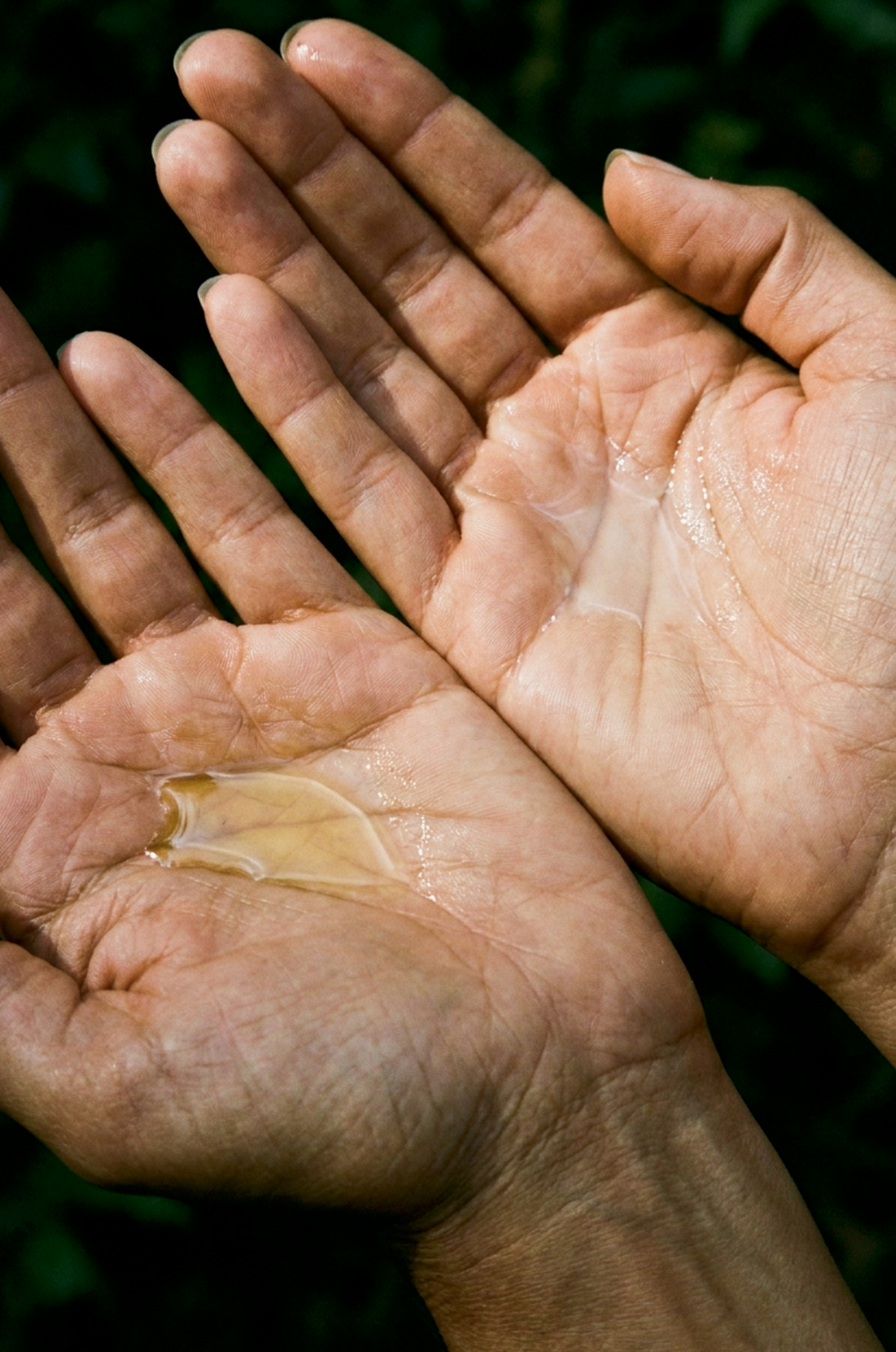 Two open palms holding golden face oil