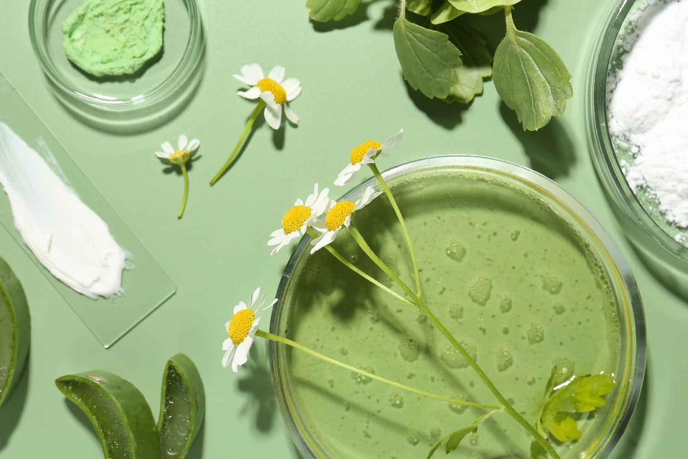 Image of daisies on dish of face oil