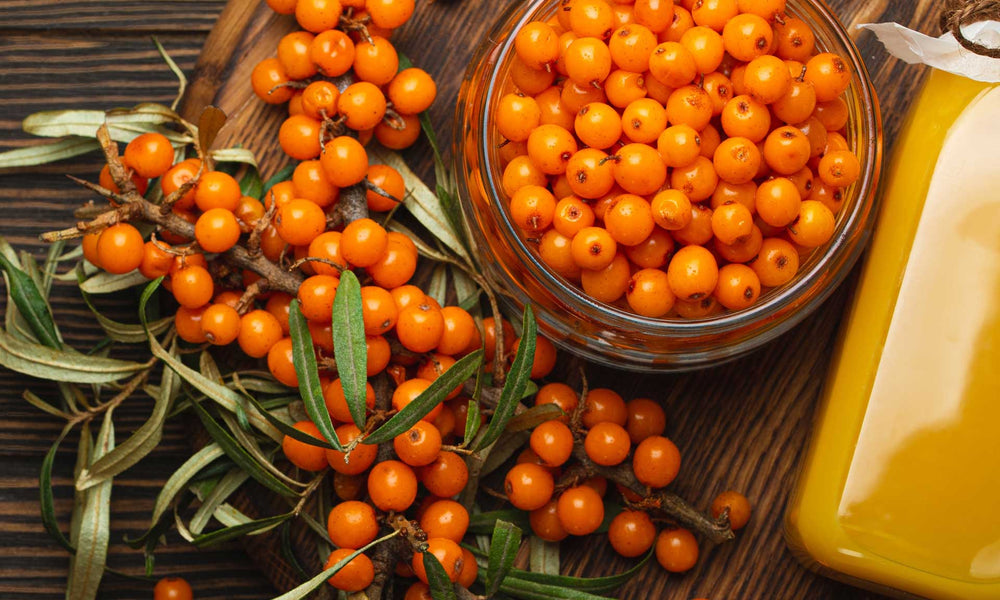 Bowl of rose hip ingredient