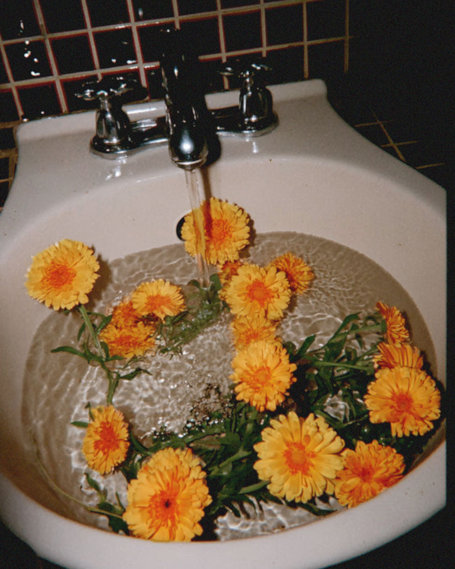 Botanical Skin Care Products for a Gentler Routine