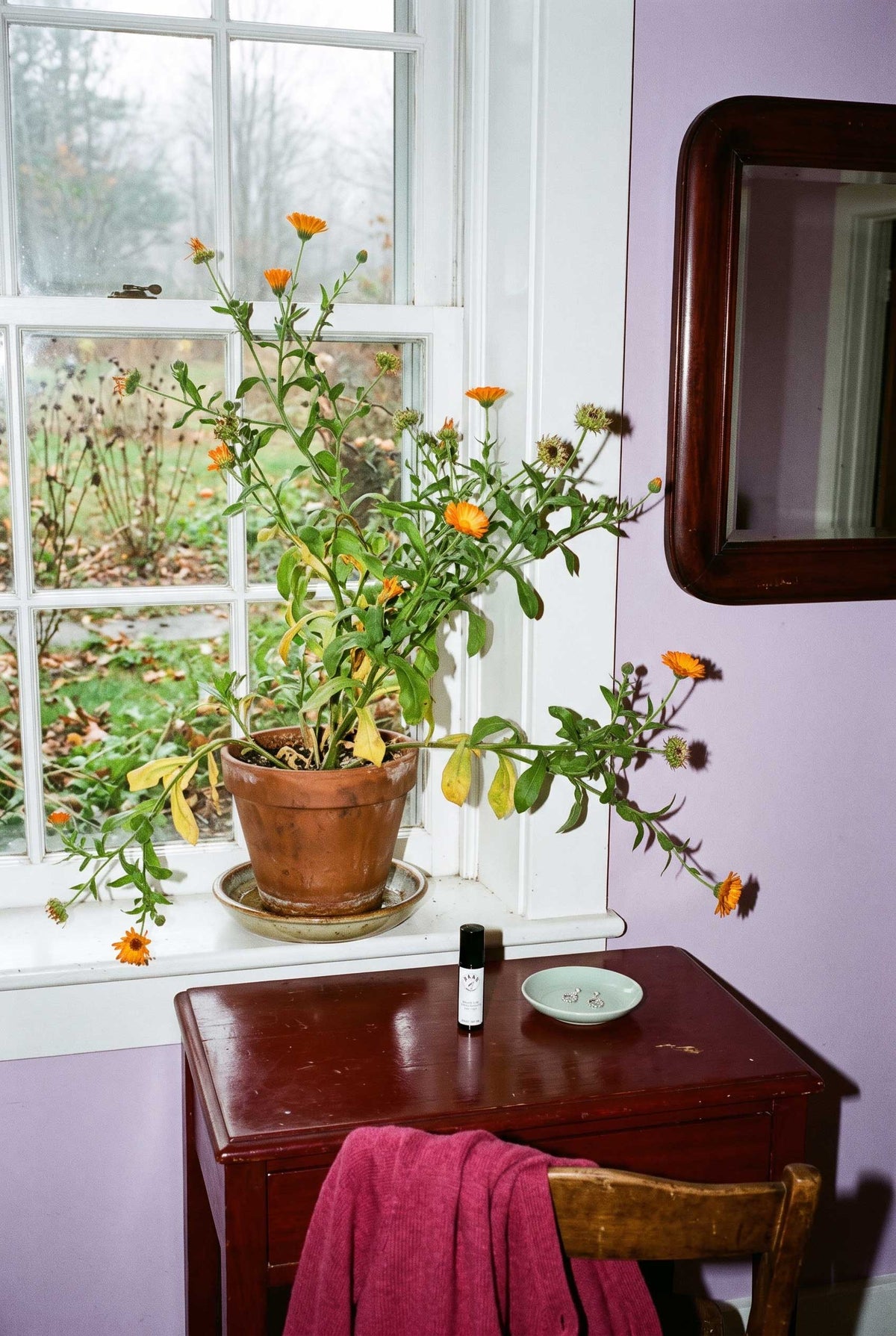 Orange calendula flowers on a window ledge above a dressing table with Baby le Bébé Floral Fix Calendula Roller.