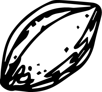 Illustration of Argan Oil