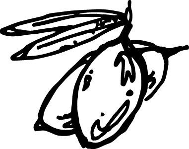 Illustration of Olive Squalane