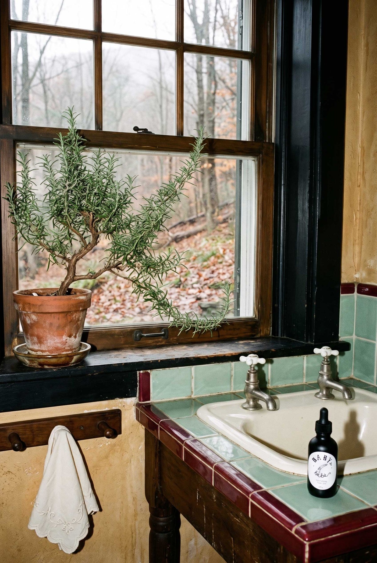 A mature rosemary plant at an old bathroom window, with Baby le Bébé Nourishing Face Oil beside a celadon-tiled basin.