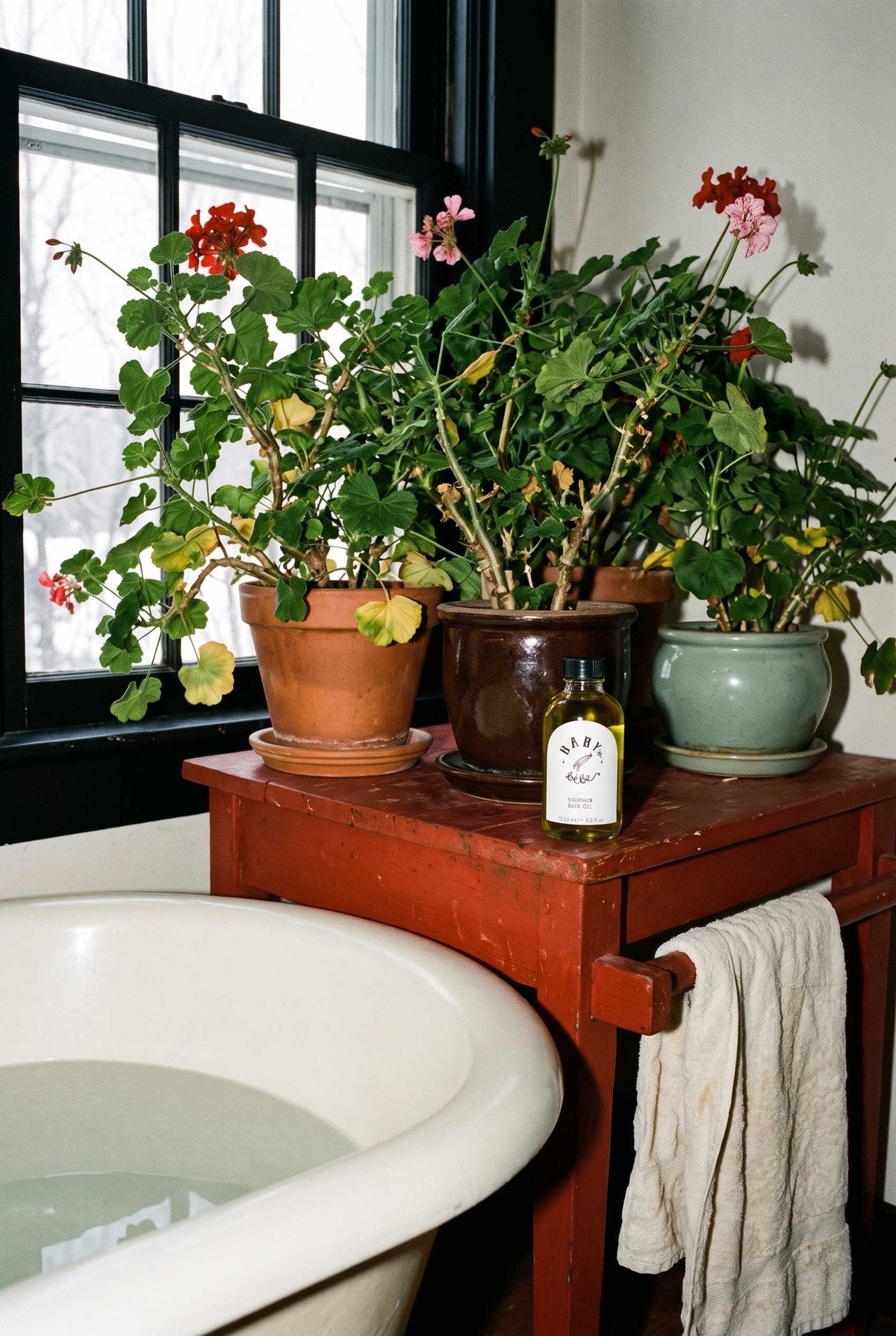 Geraniums beside a bathroom window, with Baby le Bébé Veranium Bath Oil on the washstand.